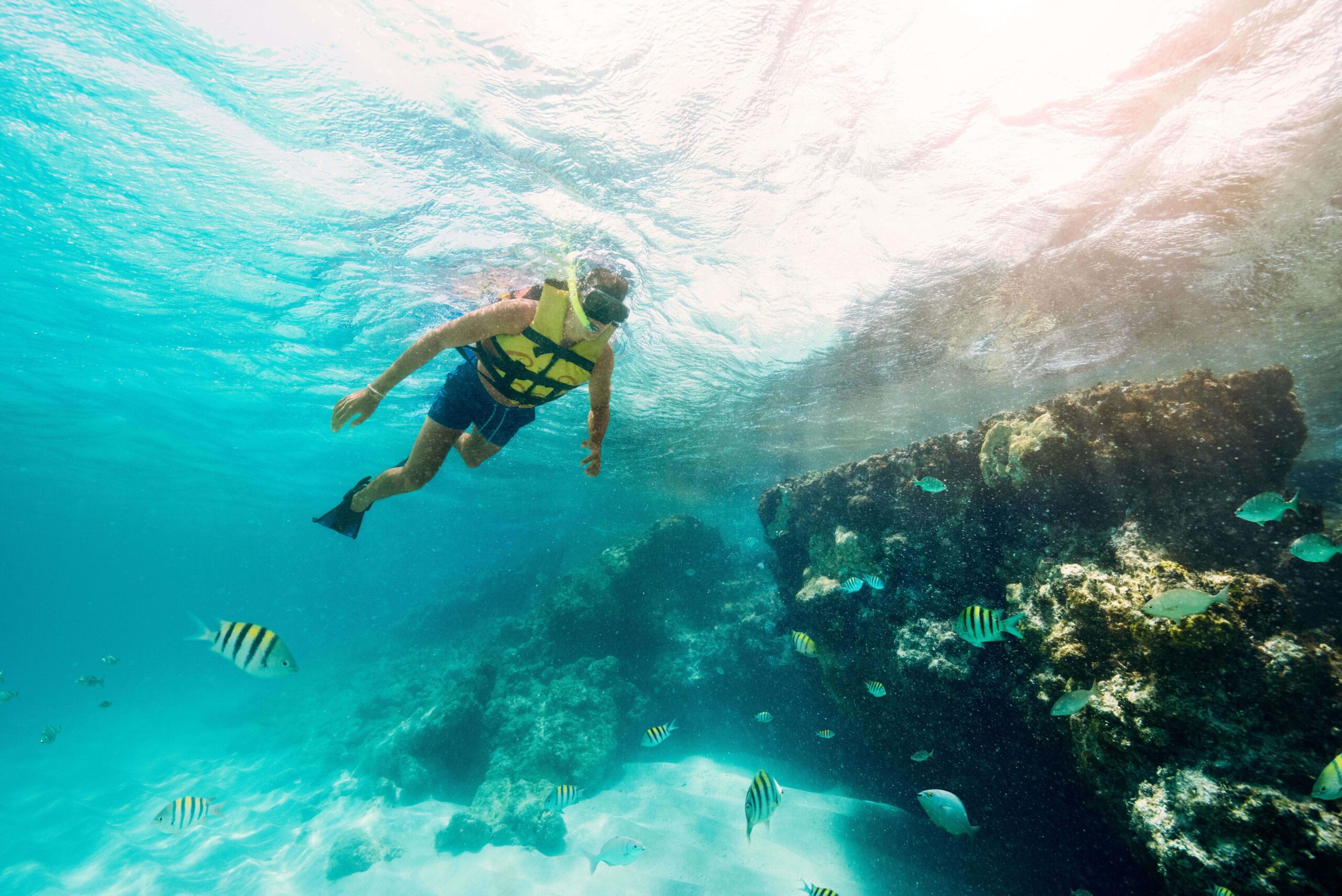 snorkeling in cancun