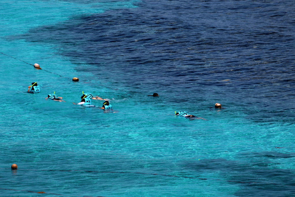 best beaches in cancun for snorkeling