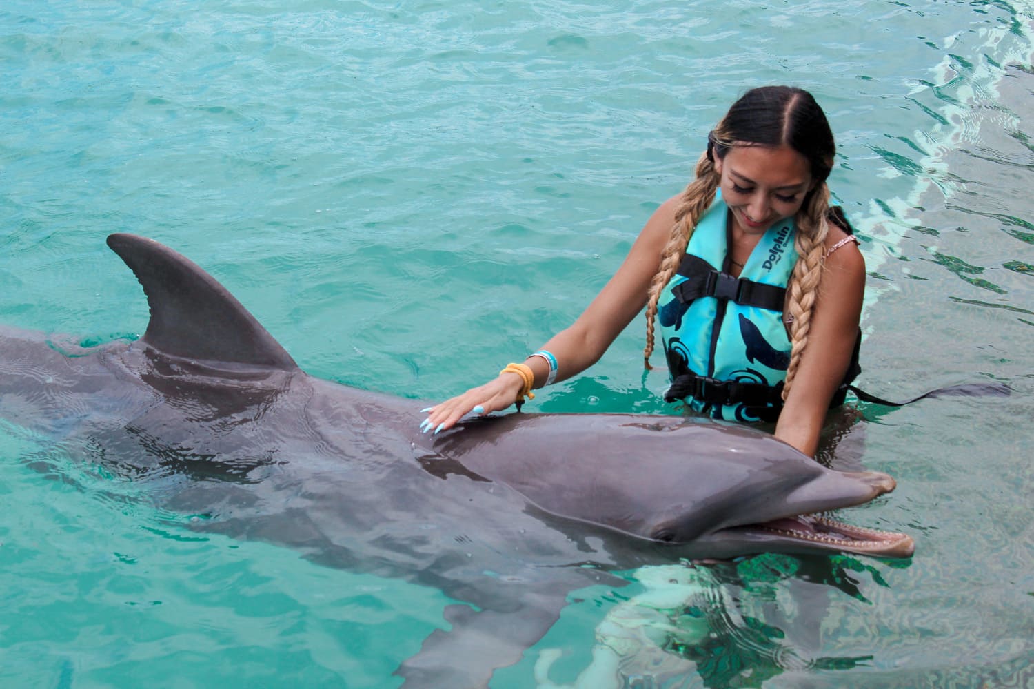 swim-with-dolphins-in-isla-mujeres