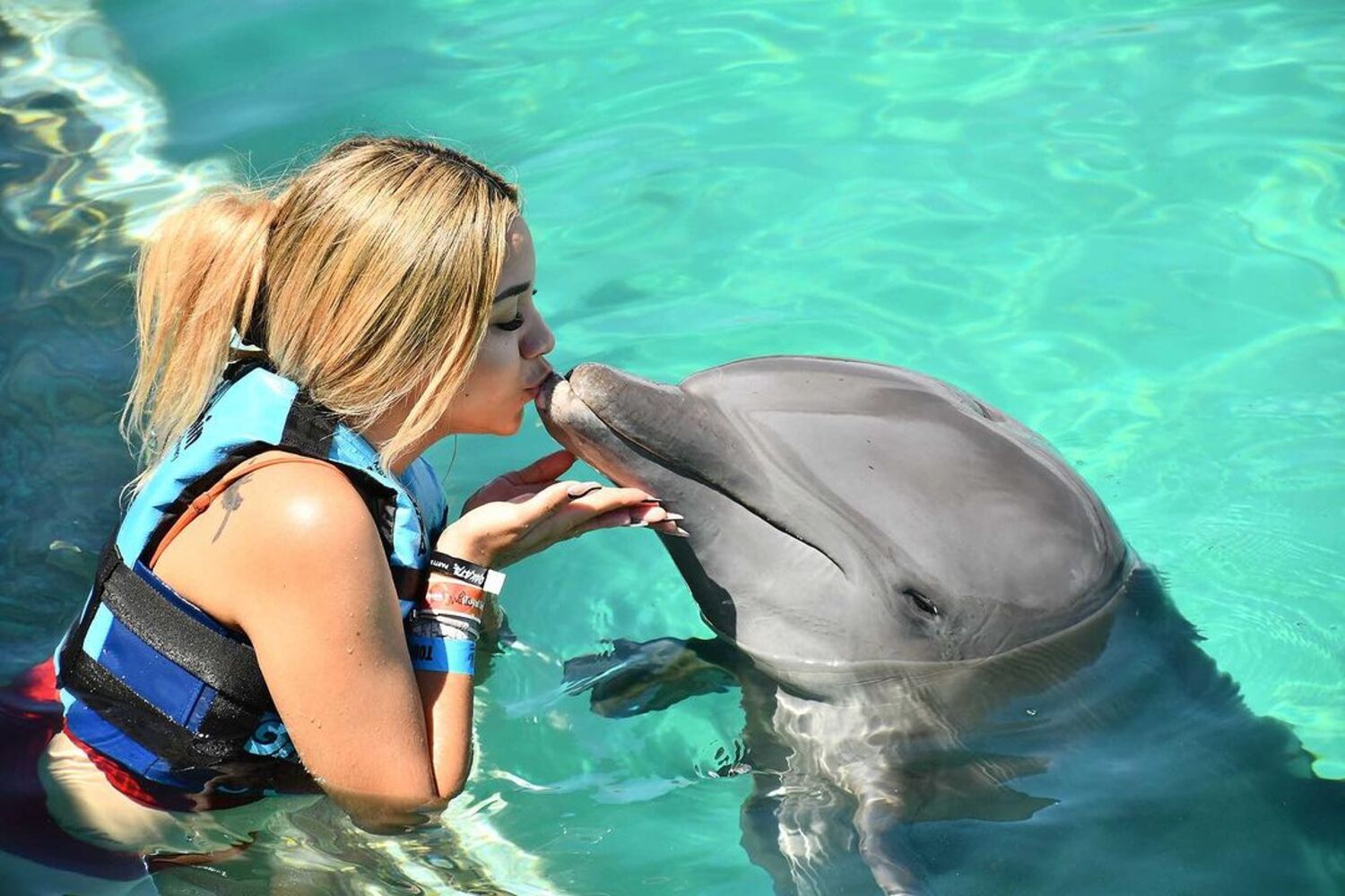 dolphins isla mujeres