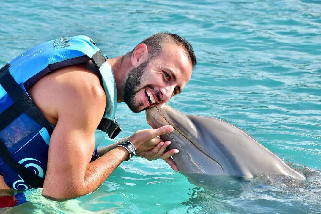 dolphin discovery isla mujeres