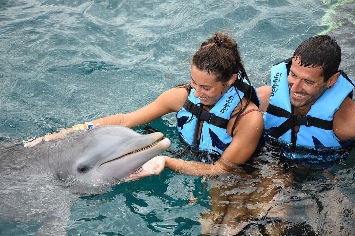 couple swimming with dolphins in Isla Mujeres