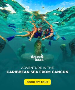 Explore and enjoy the wonders of the Caribbean Sea