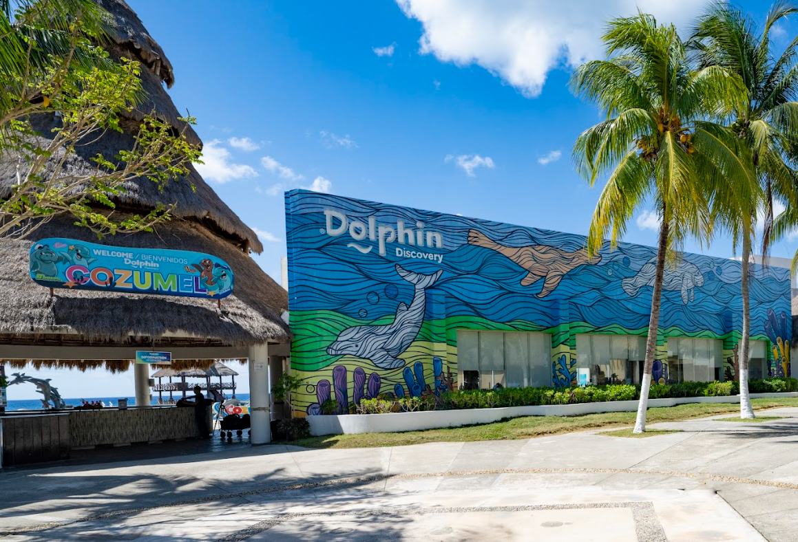 dolphin discovery cozumel facade