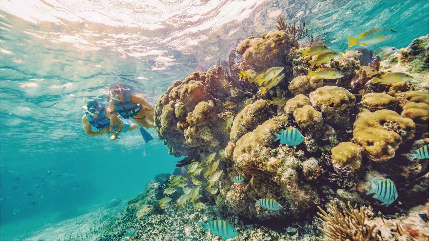 snorkeling in garrafon reef park