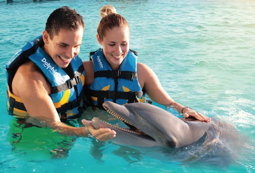 couple swimming with dolphins in Isla Mujeres